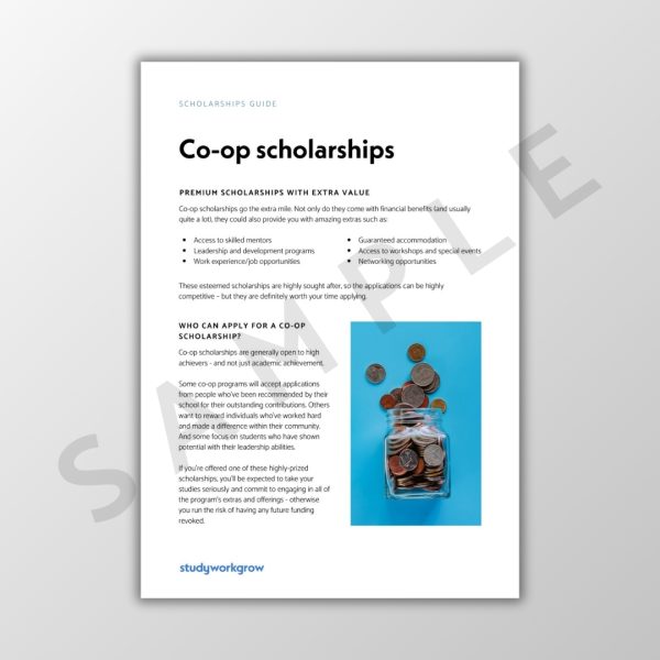 Scholarships Guide Sample